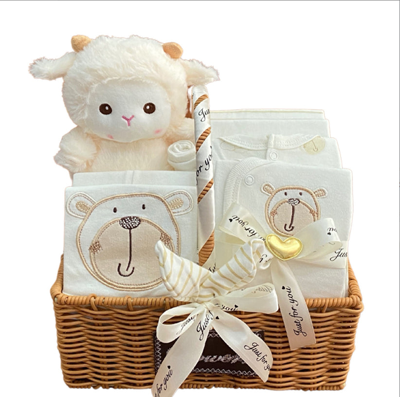 Baby Boy Gift Box Autumn And Winter
