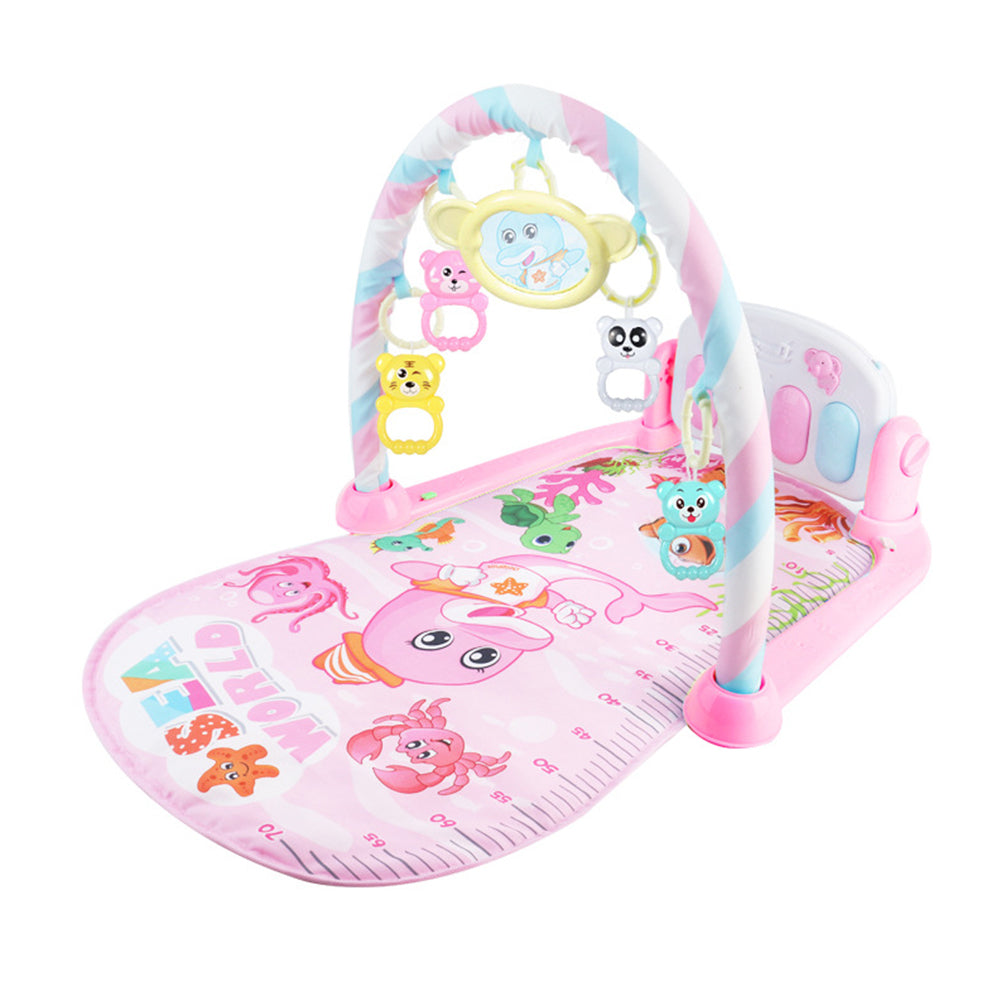Baby Musical Gym