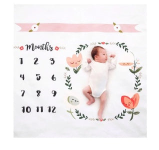 Baby Milestone blanket